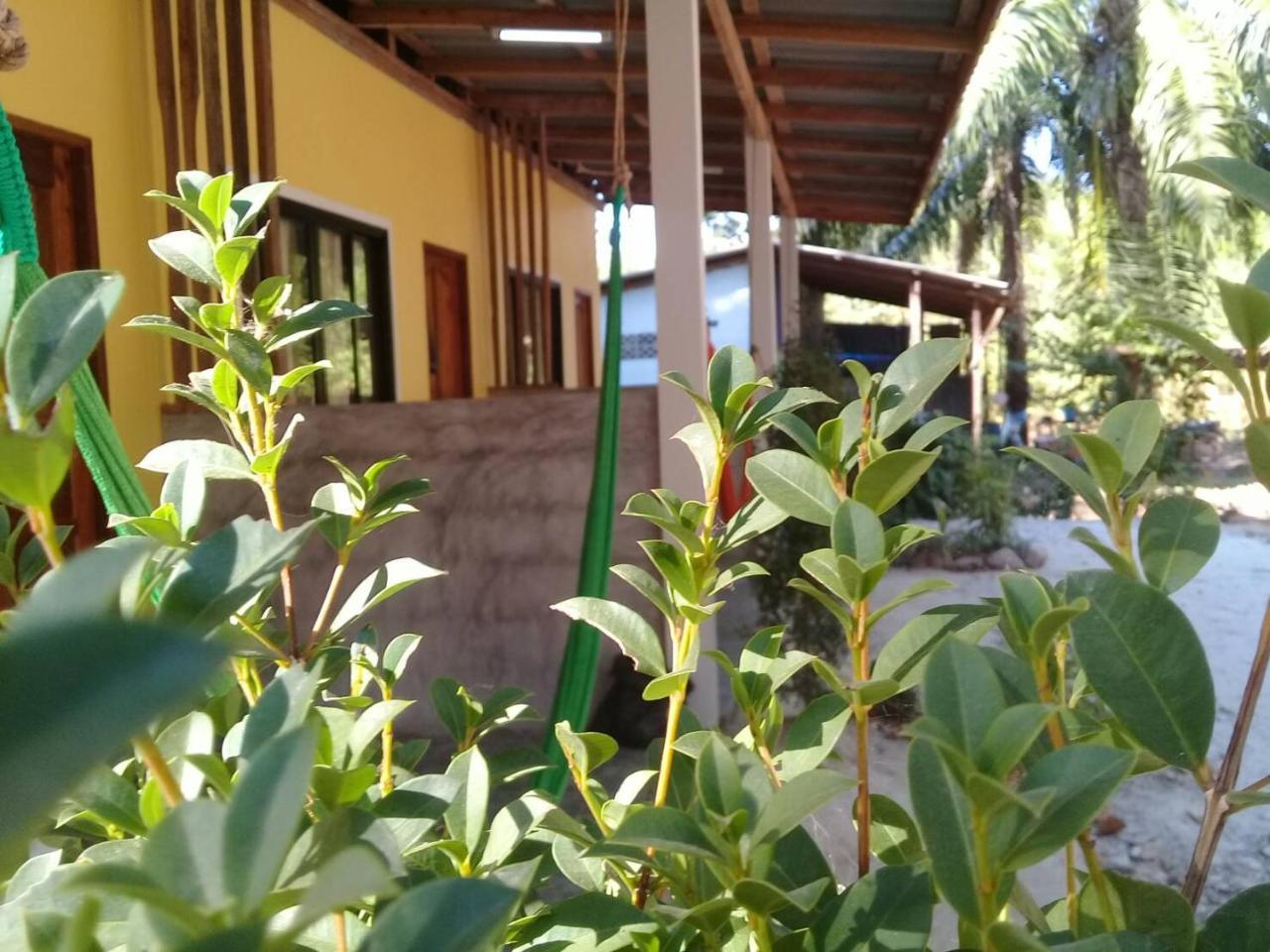 מלון קו לנטה Som Palmgarden מראה חיצוני תמונה
